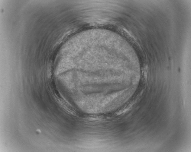 X0000085261012200704092109