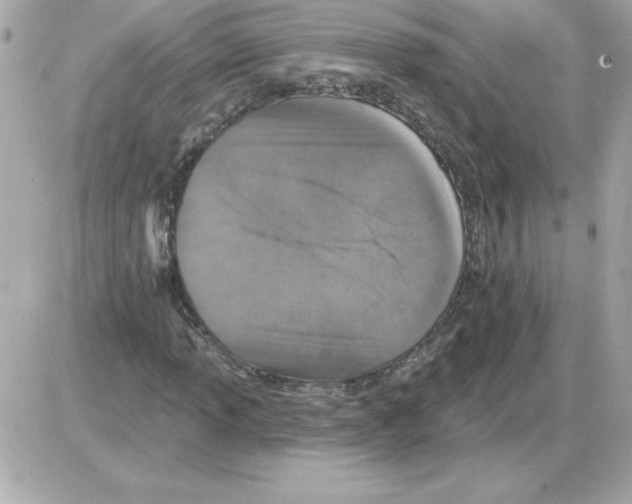 X0000085261013200704092109