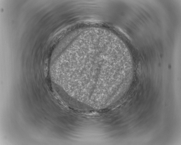 X0000085261015200704092109