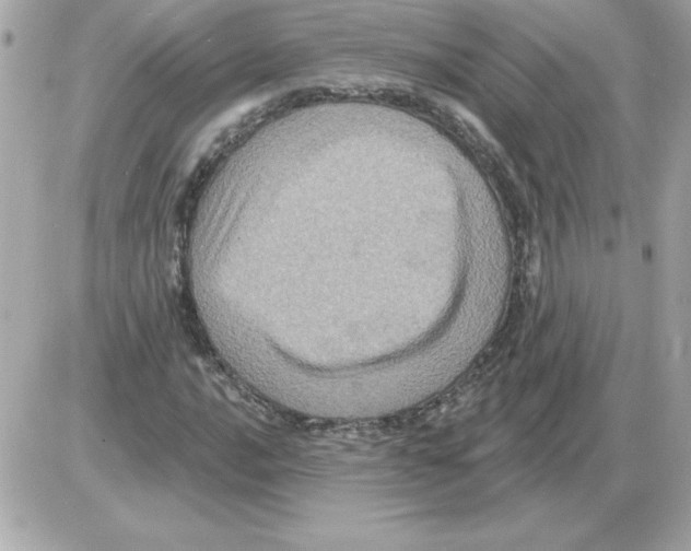 X0000085261016200704092109