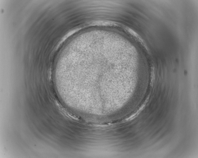 X0000085261017200704092109