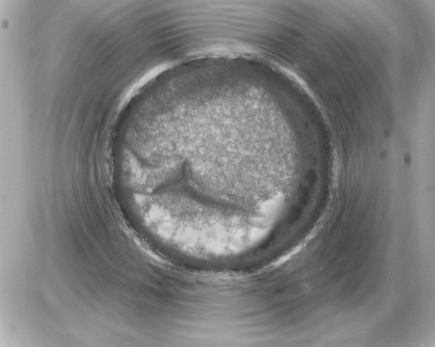 X0000085261018200704092109