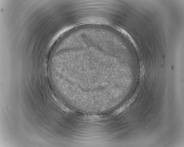 X0000085261019200704092109