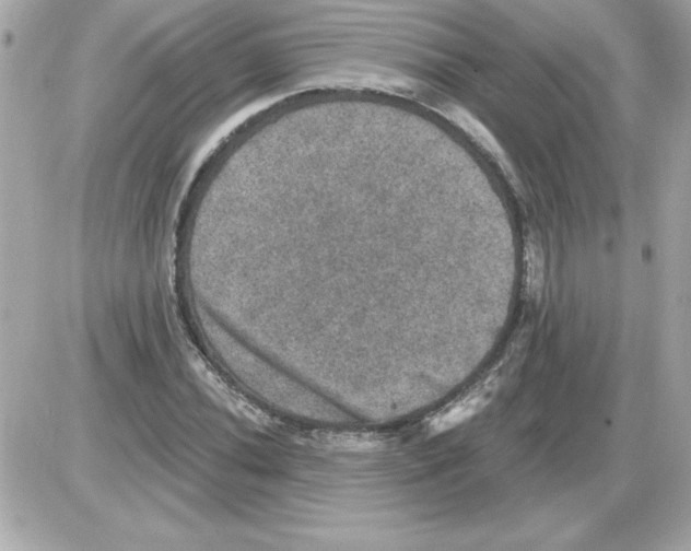 X0000085261020200704092109