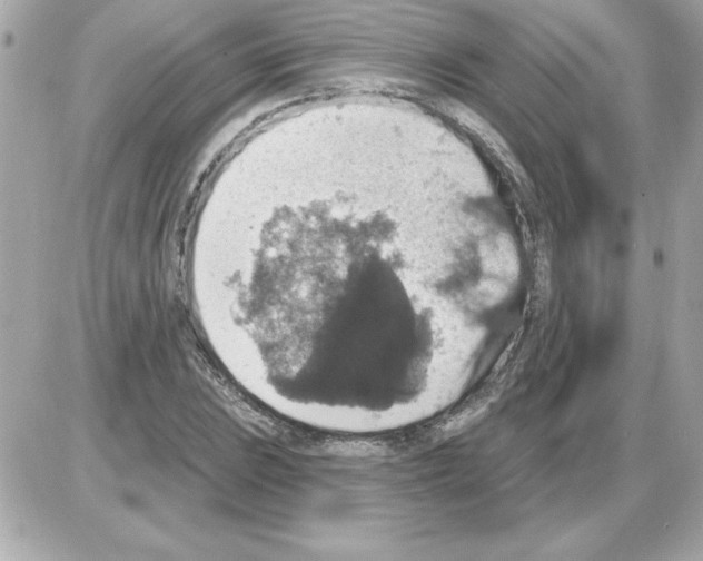 X0000085261023200704092109