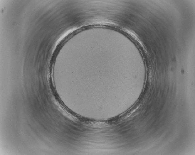 X0000085261024200704092109