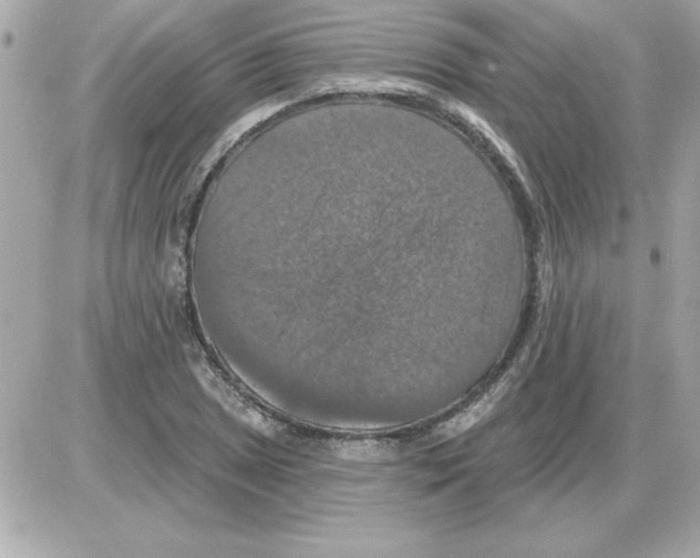 X0000085261025200704092109