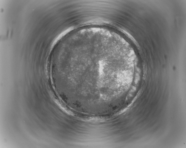 X0000085261026200704092109