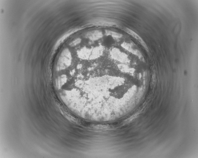 X0000085261027200704092109