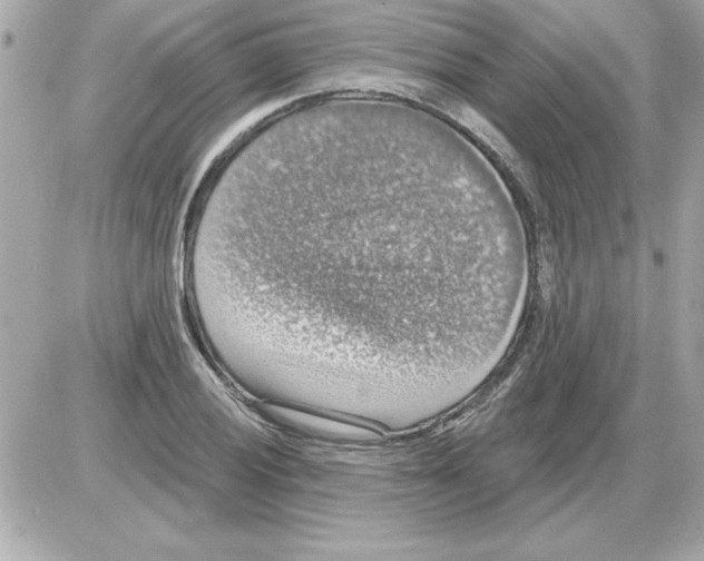 X0000085261028200704092109