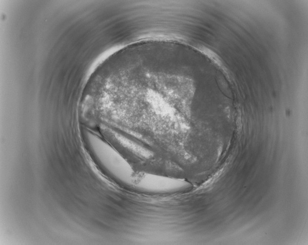 X0000085261030200704092109