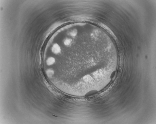 X0000085261031200704092109