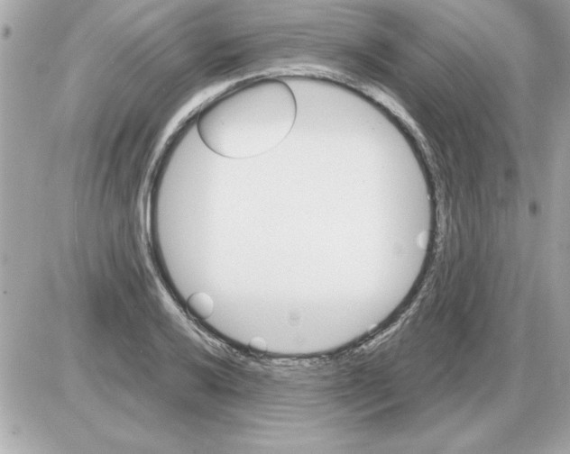 X0000085261032200704092109