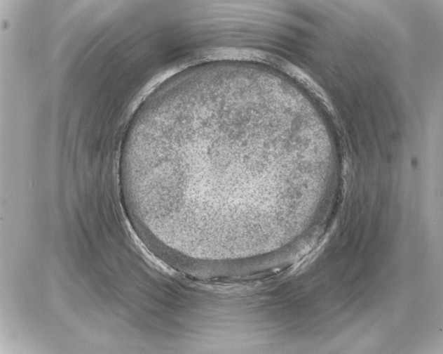 X0000085261033200704092109