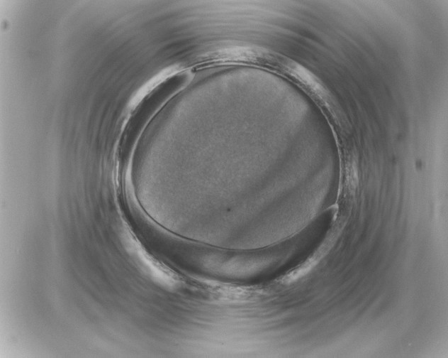 X0000085261034200704092109