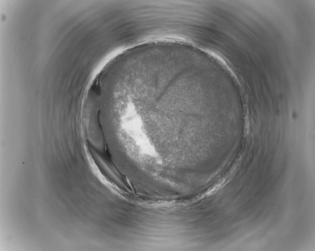 X0000085261038200704092109