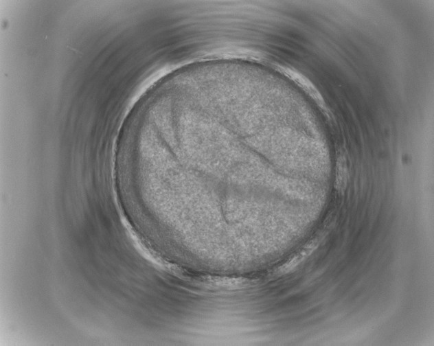 X0000085261039200704092109