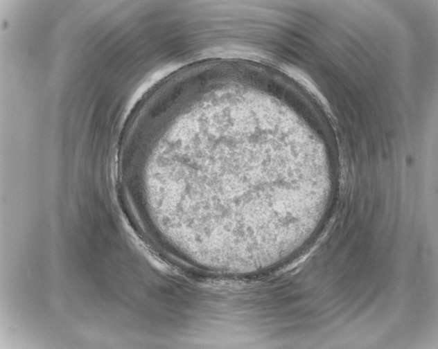 X0000085261040200704092109