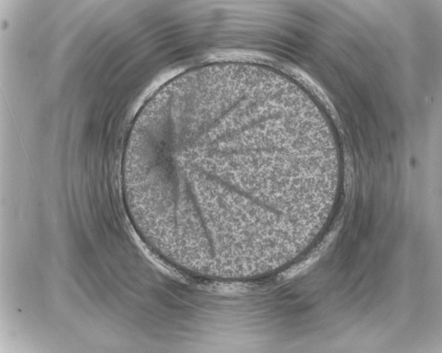 X0000085261041200704092109