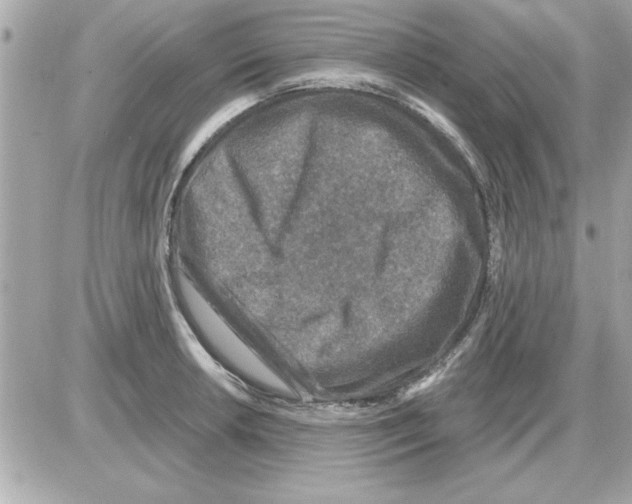 X0000085261042200704092109