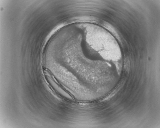 X0000085261043200704092109