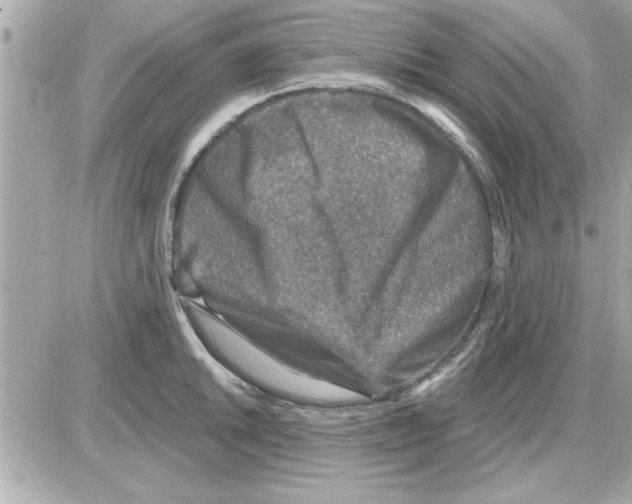 X0000085261046200704092109