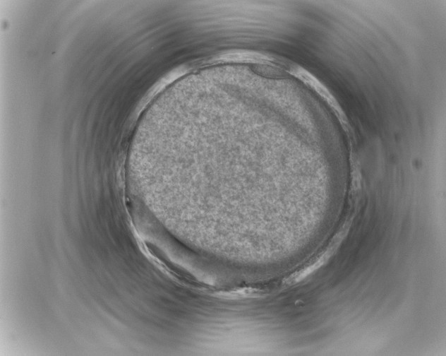 X0000085261049200704092109