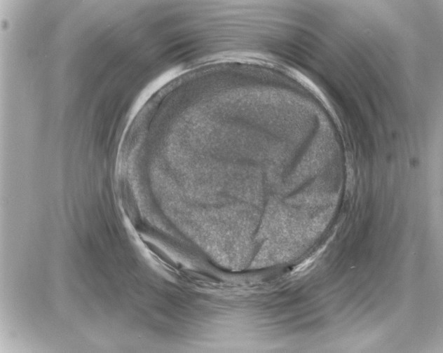 X0000085261050200704092109