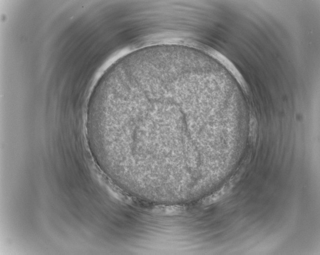 X0000085261051200704092109