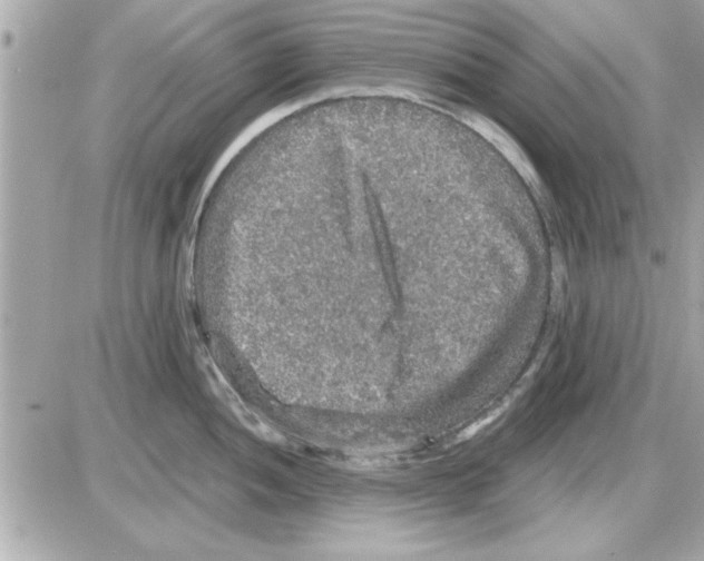 X0000085261052200704092109