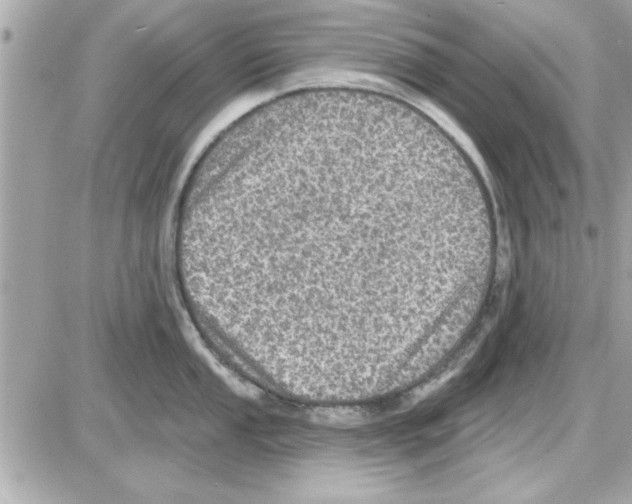 X0000085261053200704092109