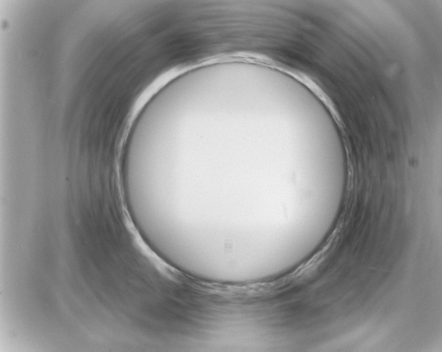 X0000085261054200704092109