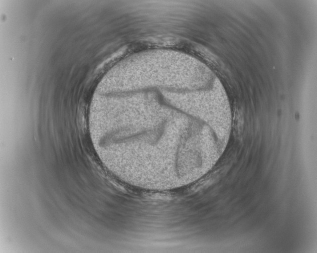 X0000085261058200704092109