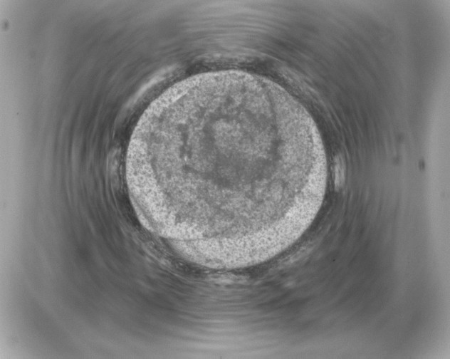 X0000085261059200704092109