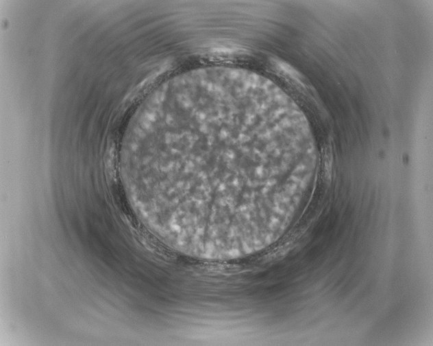 X0000085261060200704092109