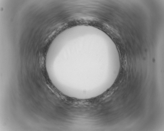 X0000085261061200704092109