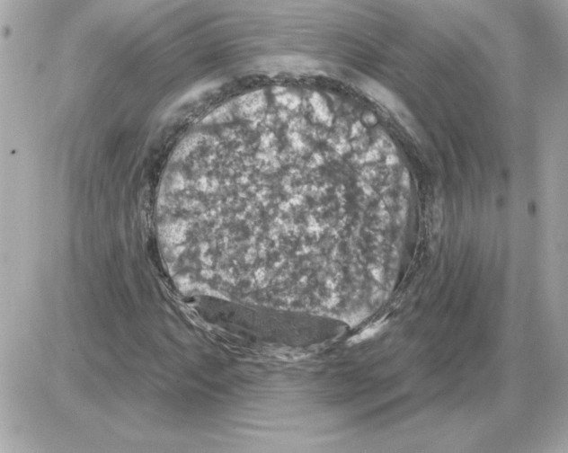 X0000085261063200704092108