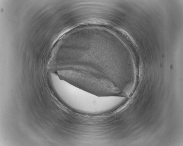 X0000085261065200704092108