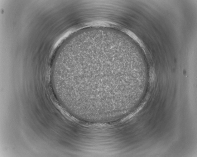 X0000085261067200704092108