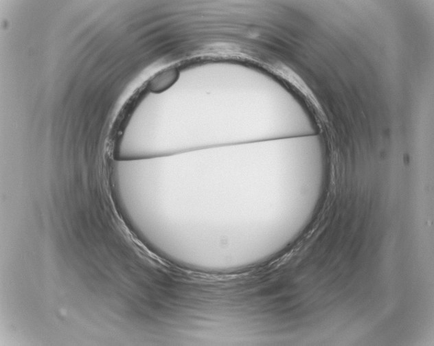 X0000085261068200704092108