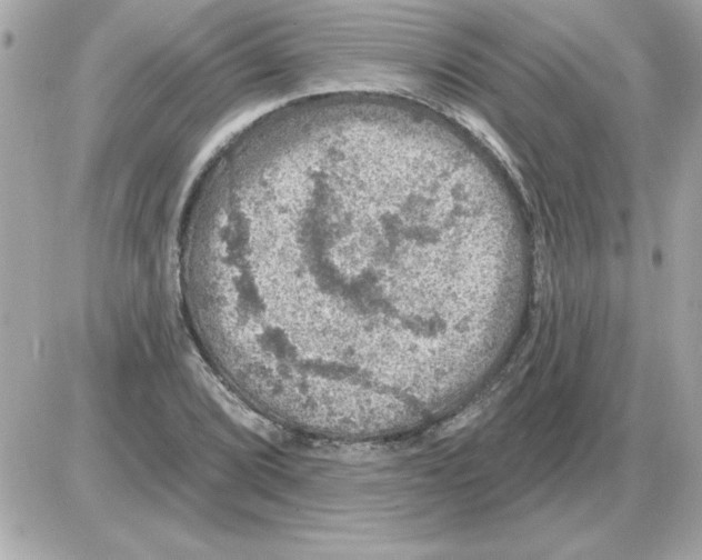 X0000085261072200704092108