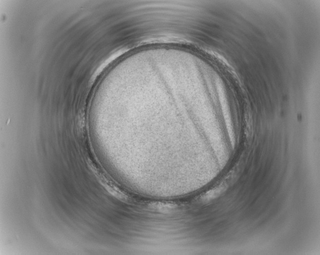 X0000085261073200704092108