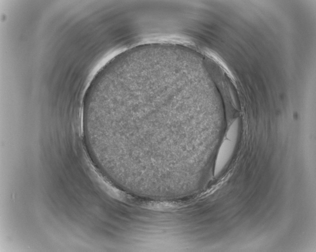 X0000085261079200704092108