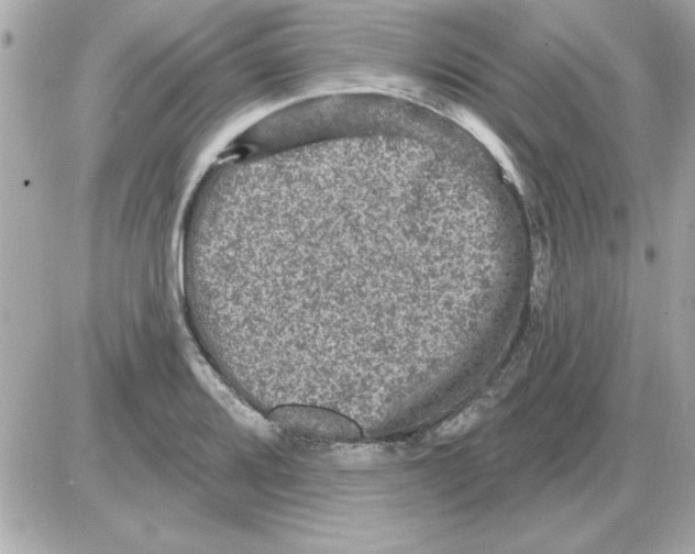 X0000085261080200704092108