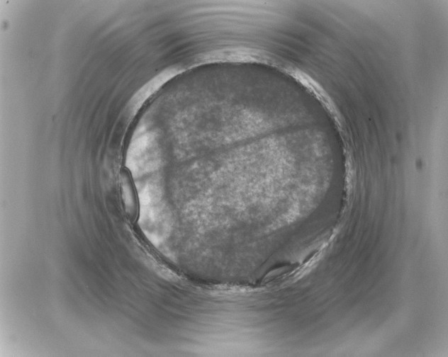 X0000085261081200704092108