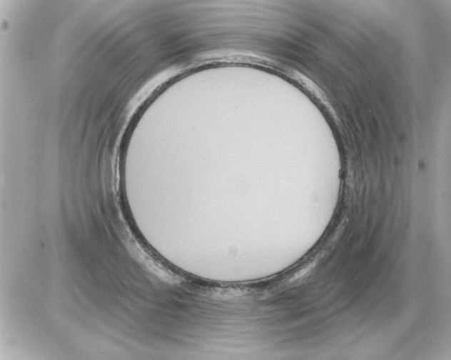 X0000085261082200704092108