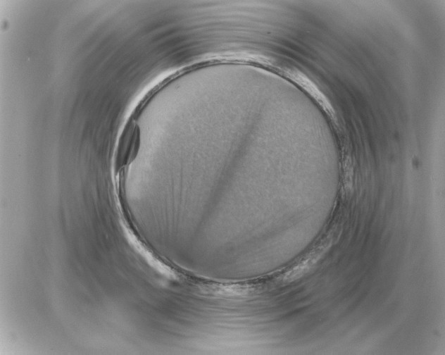 X0000085261084200704092108