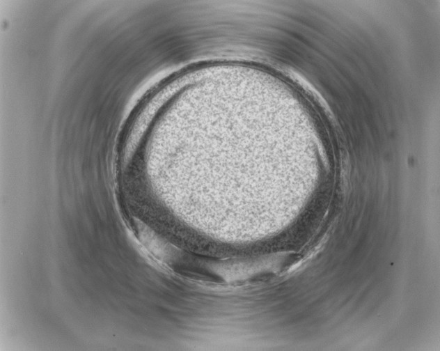 X0000085261085200704092108