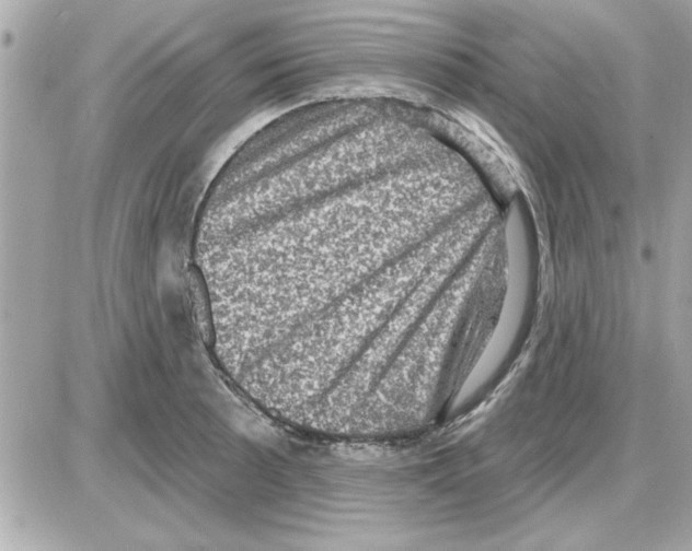 X0000085261089200704092108