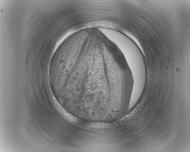 X0000085261091200704092108